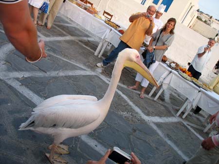 cruise08_034
