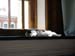 3_stpetersburg_031