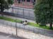 6_copenhagen_023