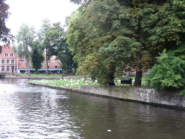 h_c17_brug_002