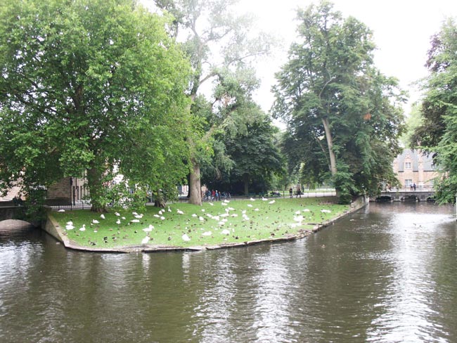 h_c17_brug_007