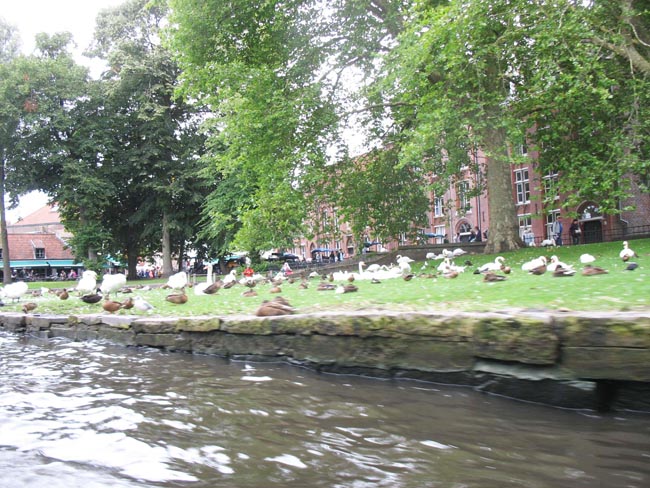 h_c17_brug_008
