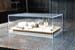 d_c17_ches_006