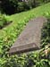 d_c17_ches_009