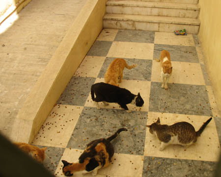 greece_09_152